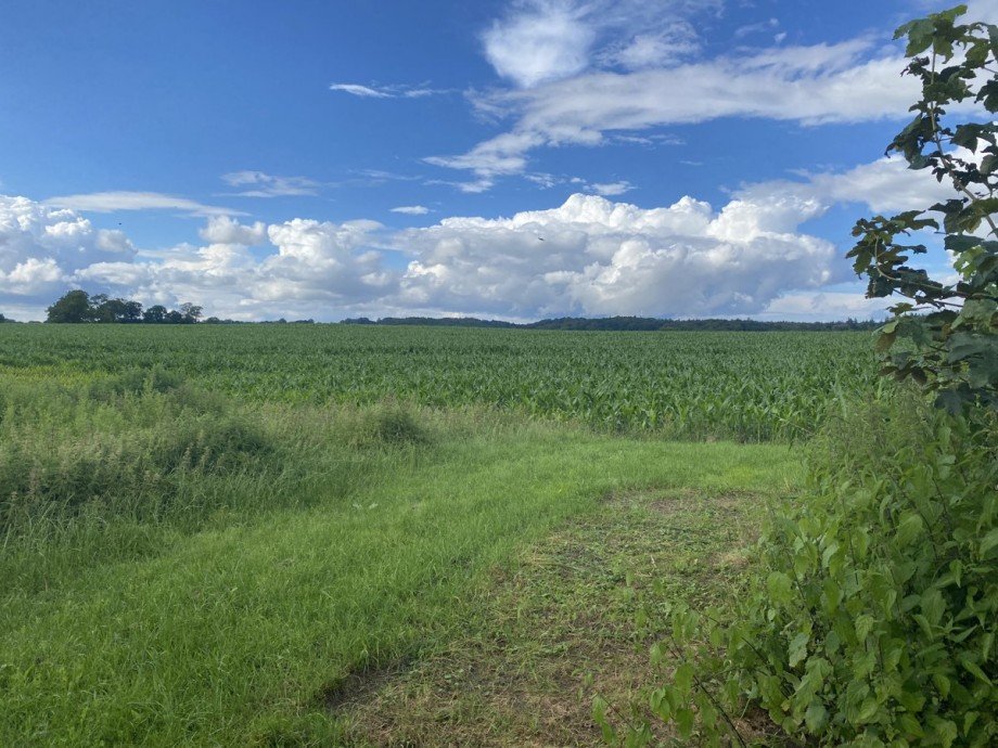 Teilansicht Wohngrundst�ck Kasseedorf